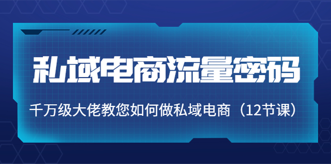 私域电商流量密码：千万级大佬教您如何做私域电商（12节课）_七九老刘教程资源分享