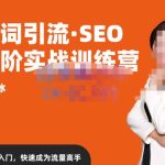 许茹冰·万词引流-SEO全阶实战训练营，0基础入门，快速成为流量高手_七九老刘教程资源分享