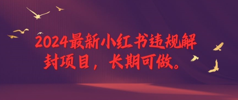 2024最新小红书违规解封项目，长期可做，一个可以做到退休的项目【揭秘】_七九老刘教程资源分享