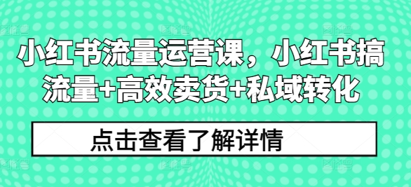 小红书流量运营课，小红书搞流量+高效卖货+私域转化_七九老刘教程资源分享